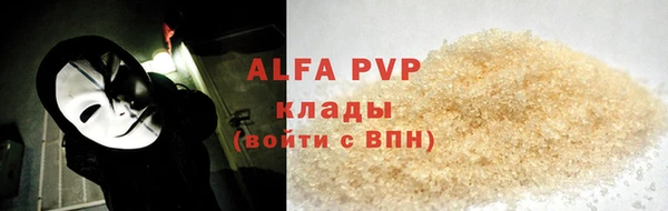 индика Баксан