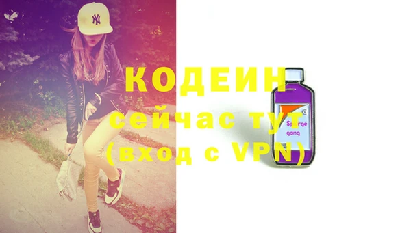 индика Баксан
