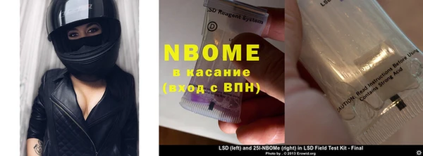 индика Баксан
