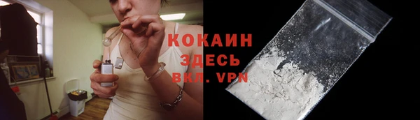 индика Баксан