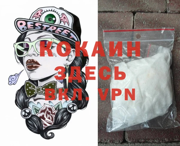 индика Баксан